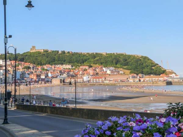 Picadore Scarborough Luaran gambar